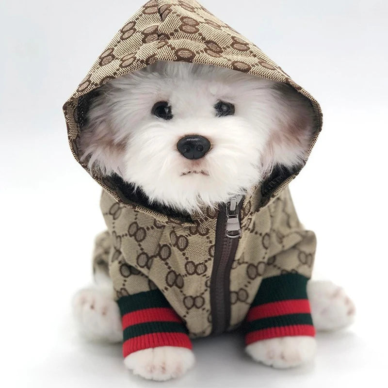 Chamarra Premium con Capucha para Perros y Gatos “Fashion Pets” – Diseño Exclusivo, Abrigo y Estilo de Lujo