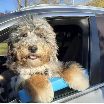 Protector anti rayaduras  para la ventana de tu auto y seguridad de tu mascota, no resbaladizo. C