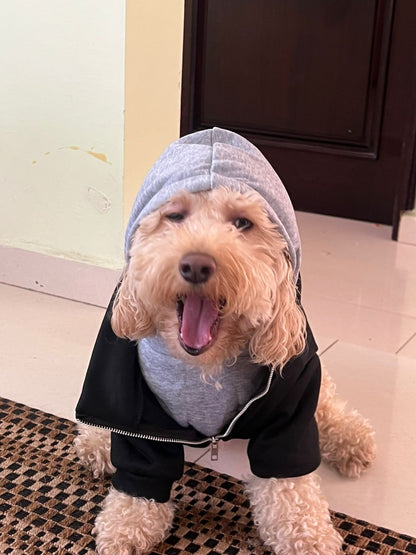 Hermosa sudadera estilo casual con capucha.