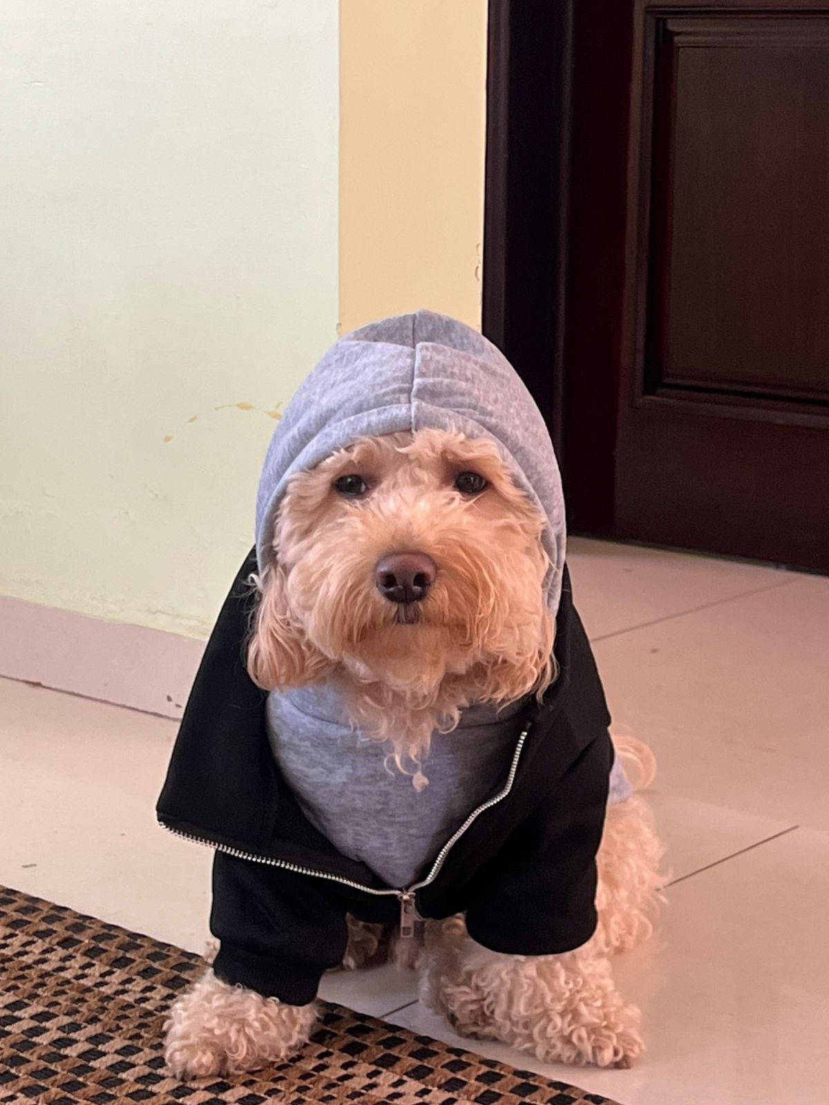 Hermosa sudadera estilo casual con capucha.