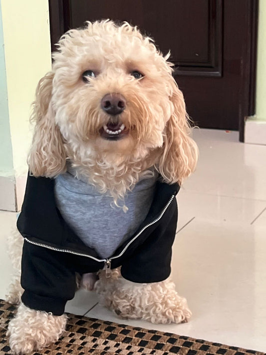 Hermosa sudadera estilo casual con capucha.