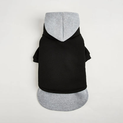 Hermosa sudadera estilo casual con capucha.