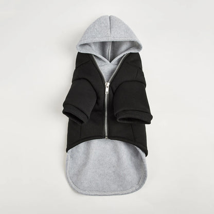 Hermosa sudadera estilo casual con capucha.