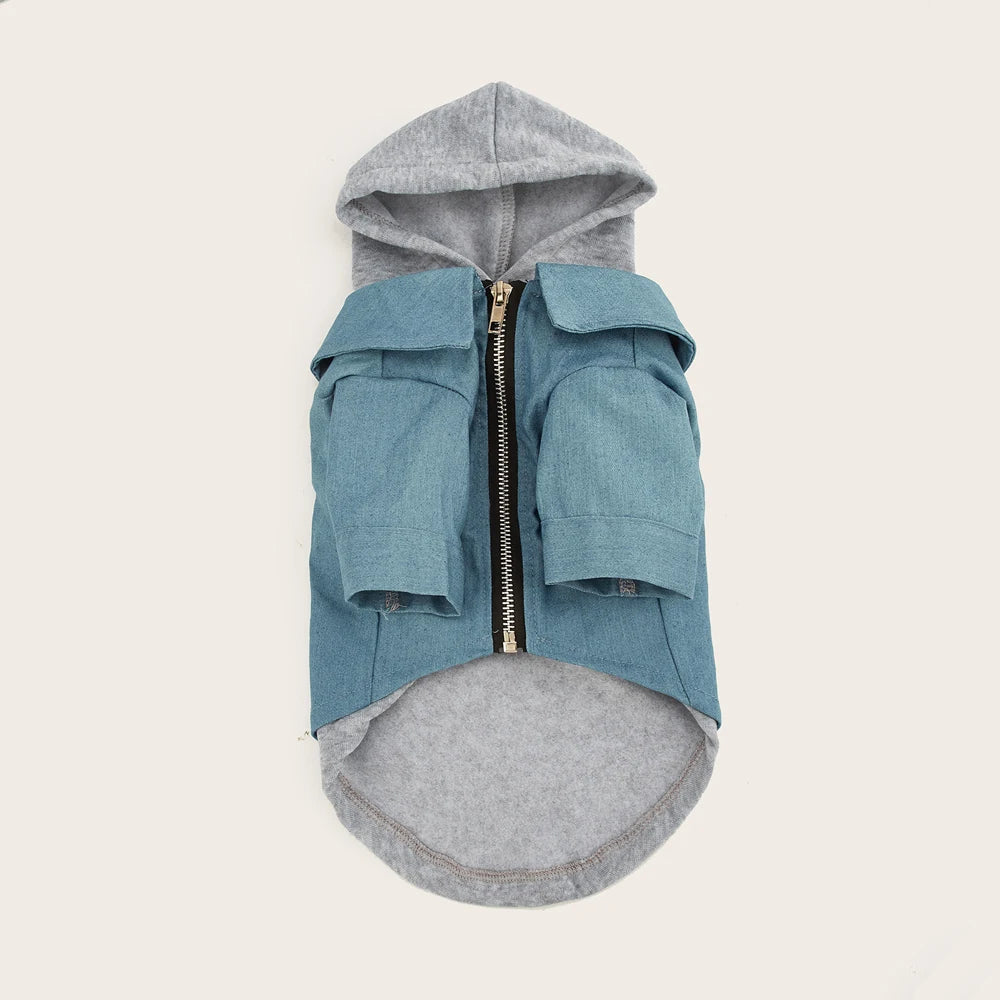 Hermosa sudadera estilo casual con capucha.
