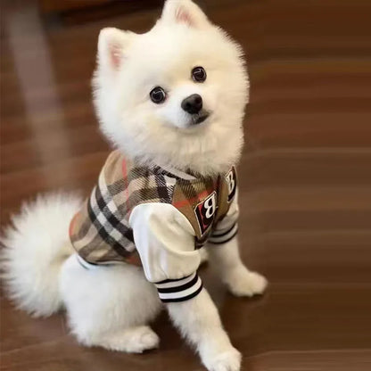 Chaqueta Varsity Premium para Perros “Fashion Pets” – Estilo Urbano y Máxima Comodidad