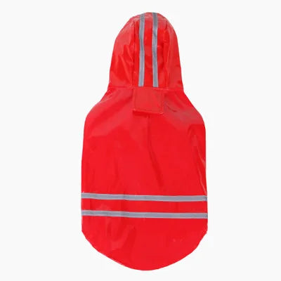 Hermoso impermeable de plástico en varios colores para temporada de lluvias.