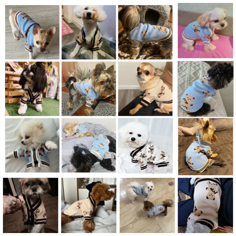 Sweater with a beautiful design, made of very good quality fabric, for small pets.